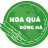 Hoa Quả Dũng Hà